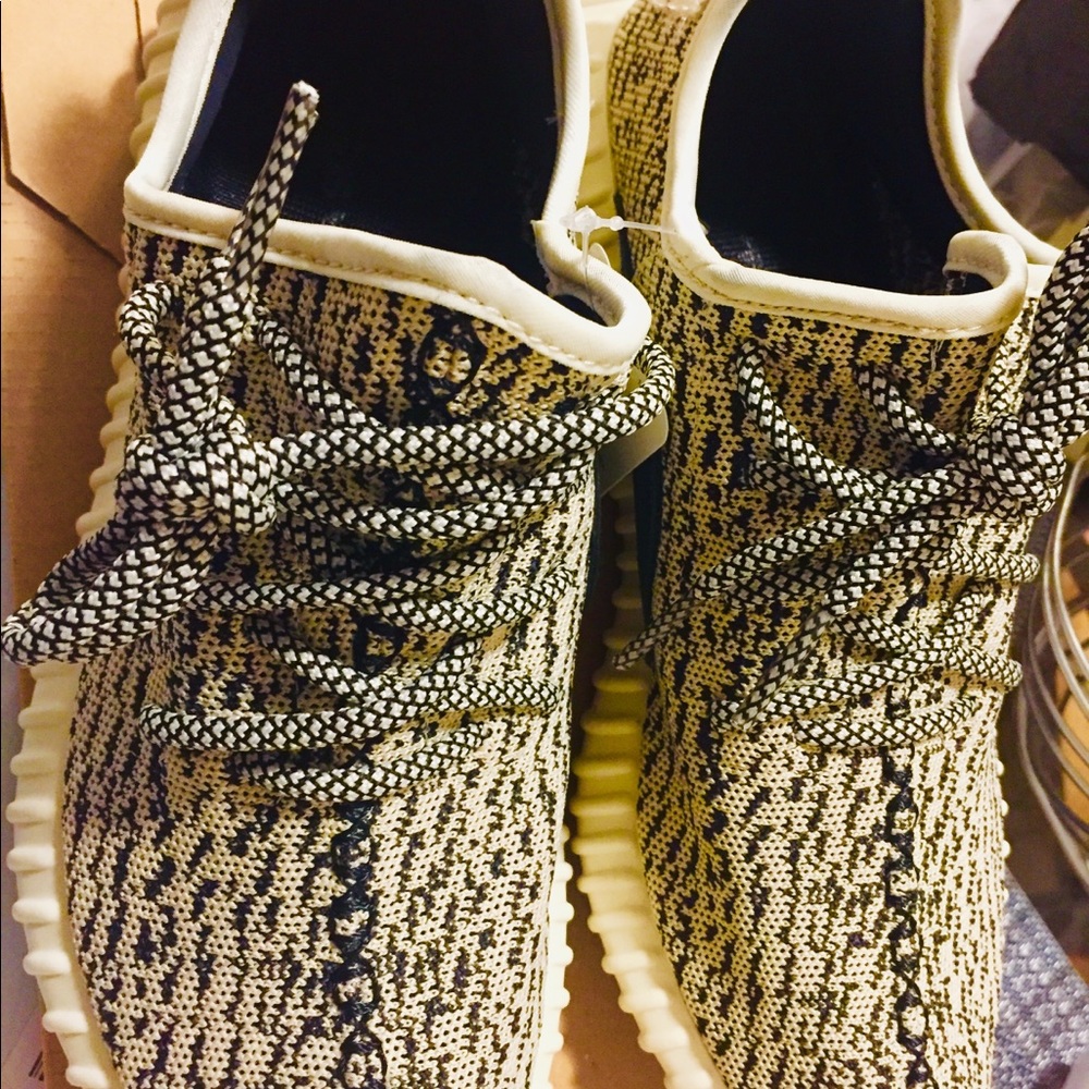 Adidas Yeezy Turtle Dove